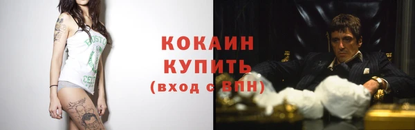 прущие грибы Балахна