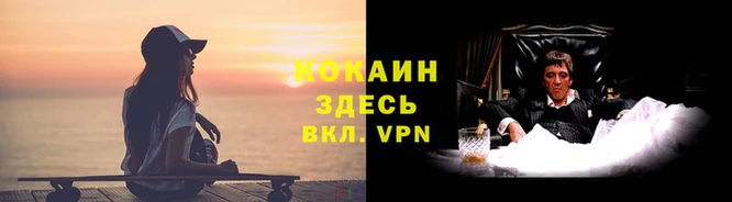 амф Аркадак