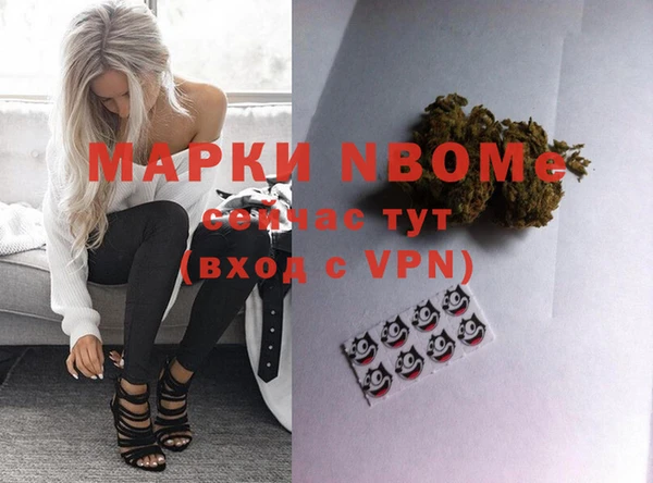 прущие грибы Балахна